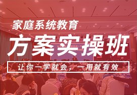 家庭系统教育方案实操班