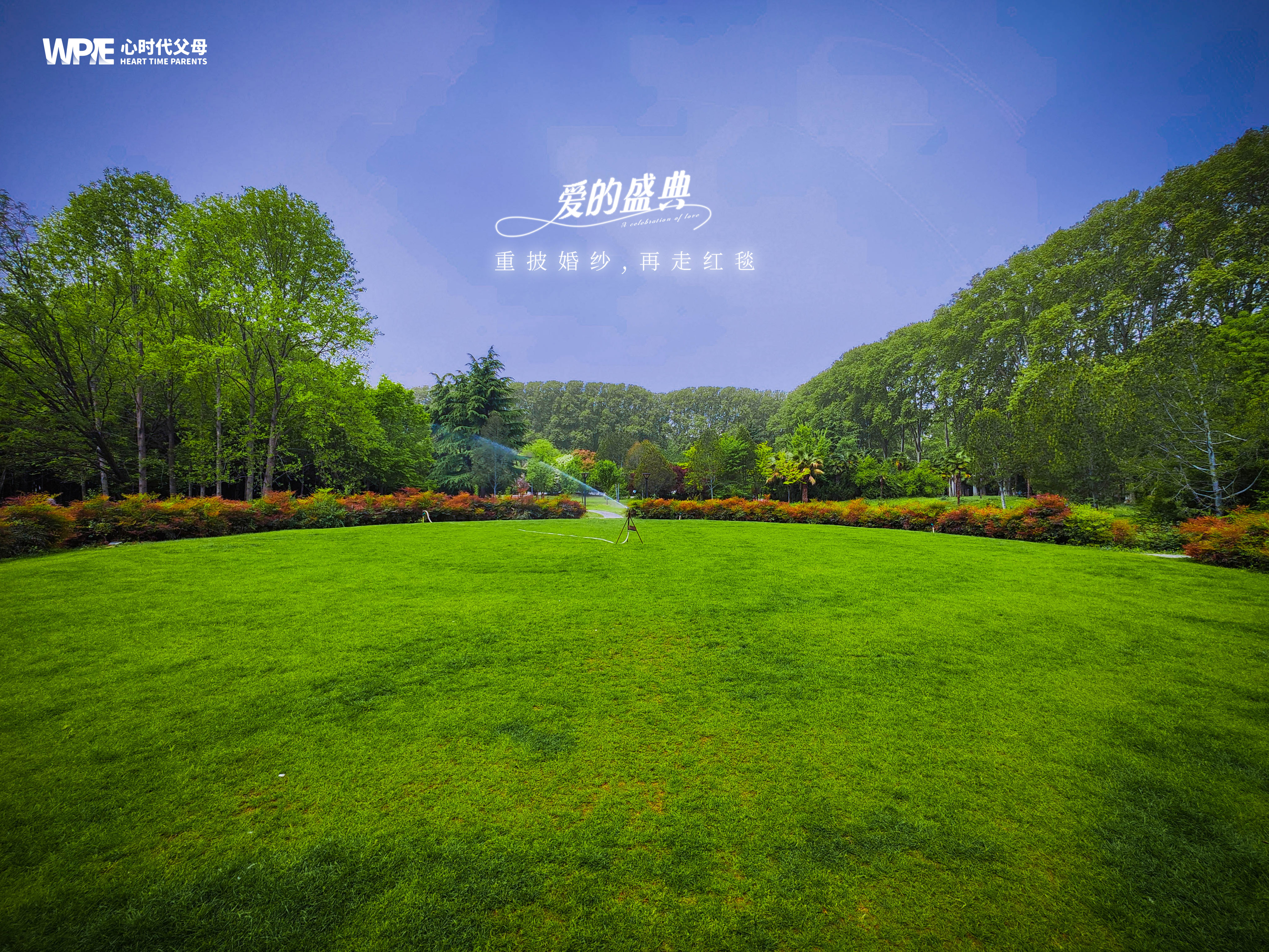 郑州黄河迎宾馆玫瑰苑草坪实景图，爱的盛典工作人员，第8次实地勘察，只为当天更美丽的你！