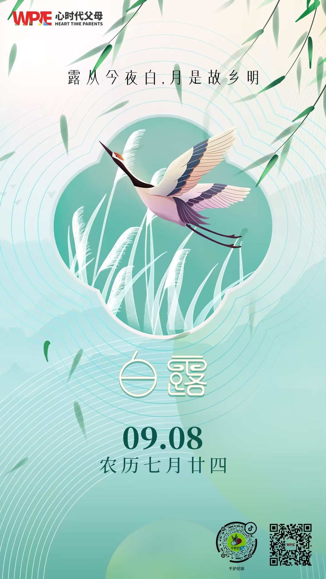 2023-09-08——白露