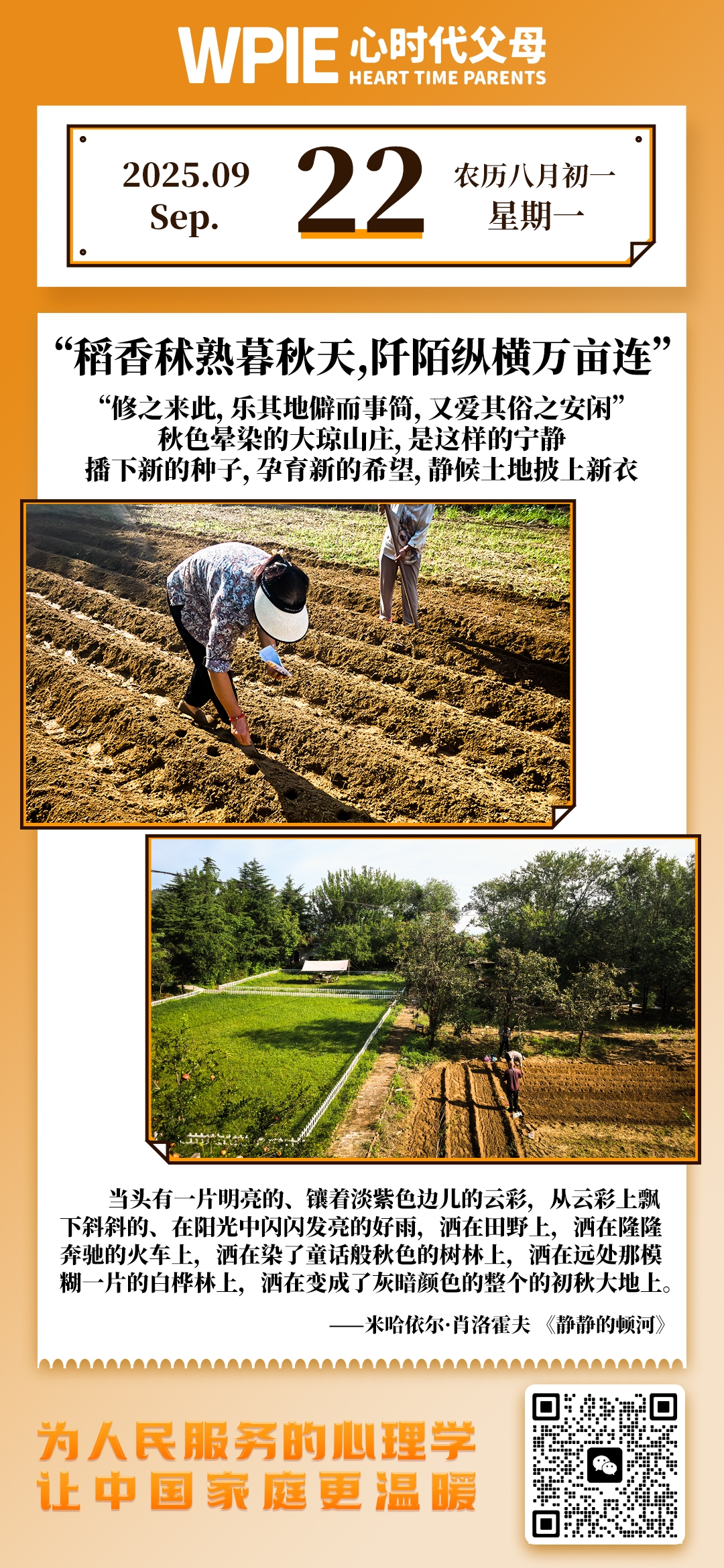 2025-9-22——稻香秫熟暮秋天，阡陌纵横万亩连