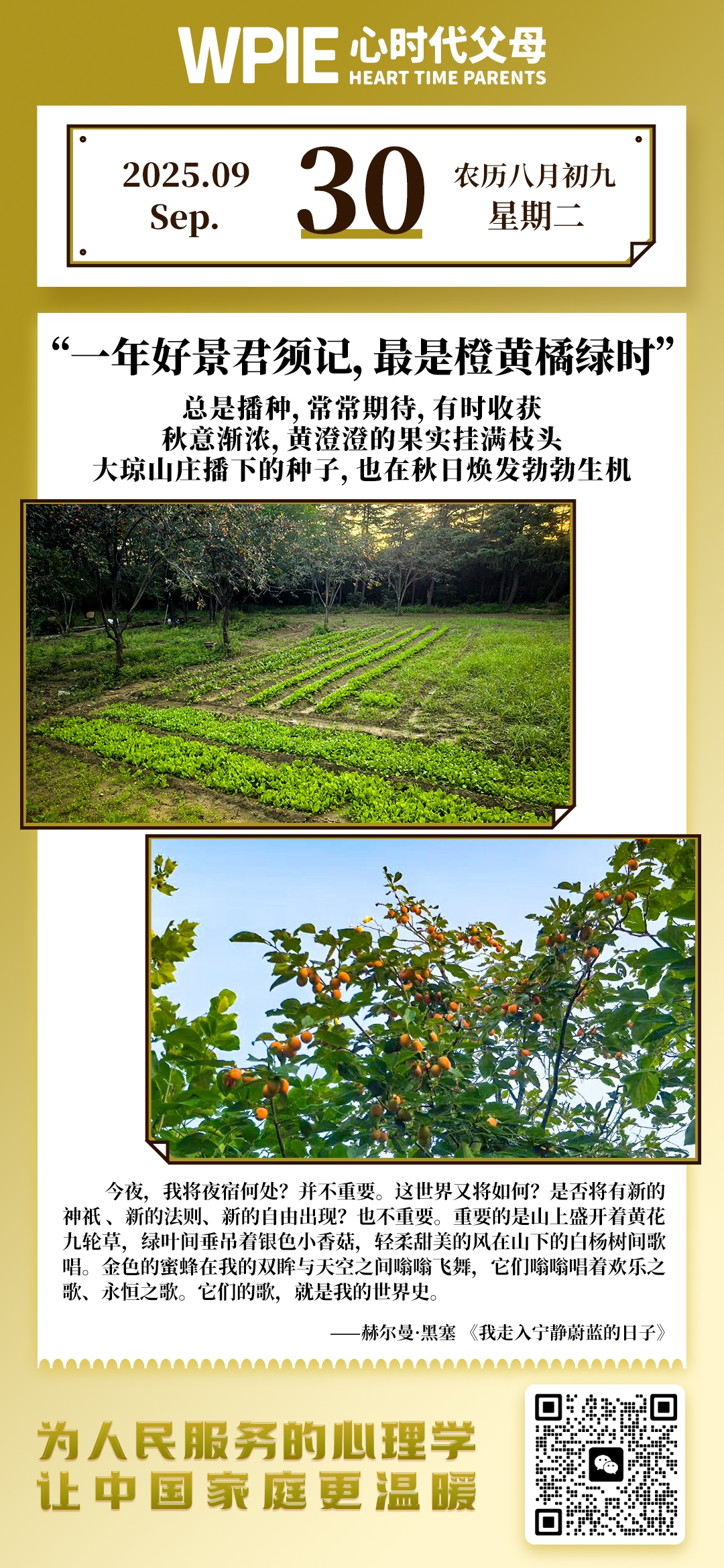 2025-9-30——一年好景君须记，最是橙黄橘绿时