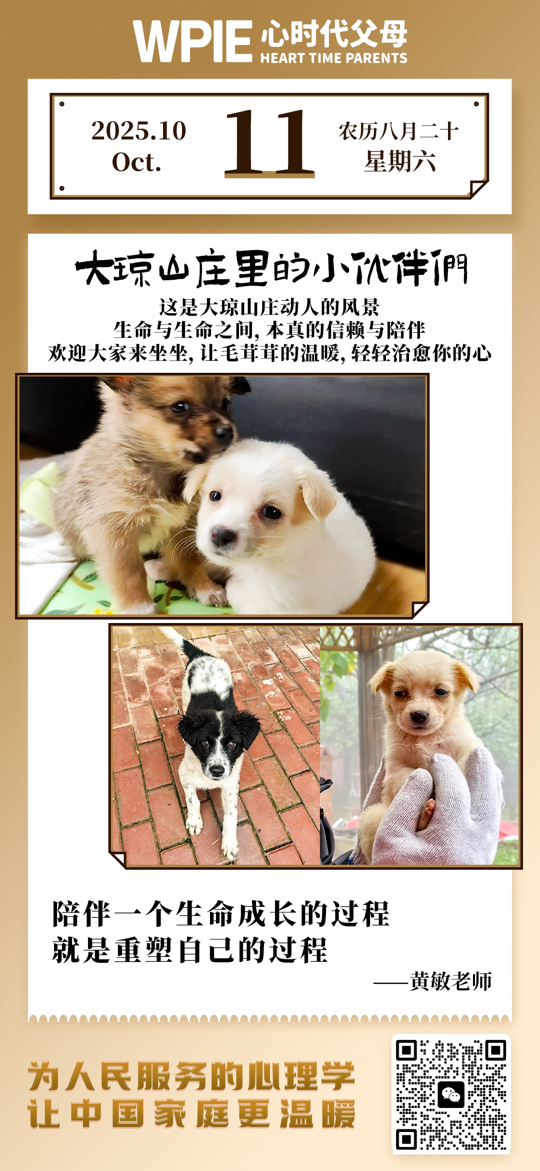 2025-10-11——大琼山庄里的小伙伴们