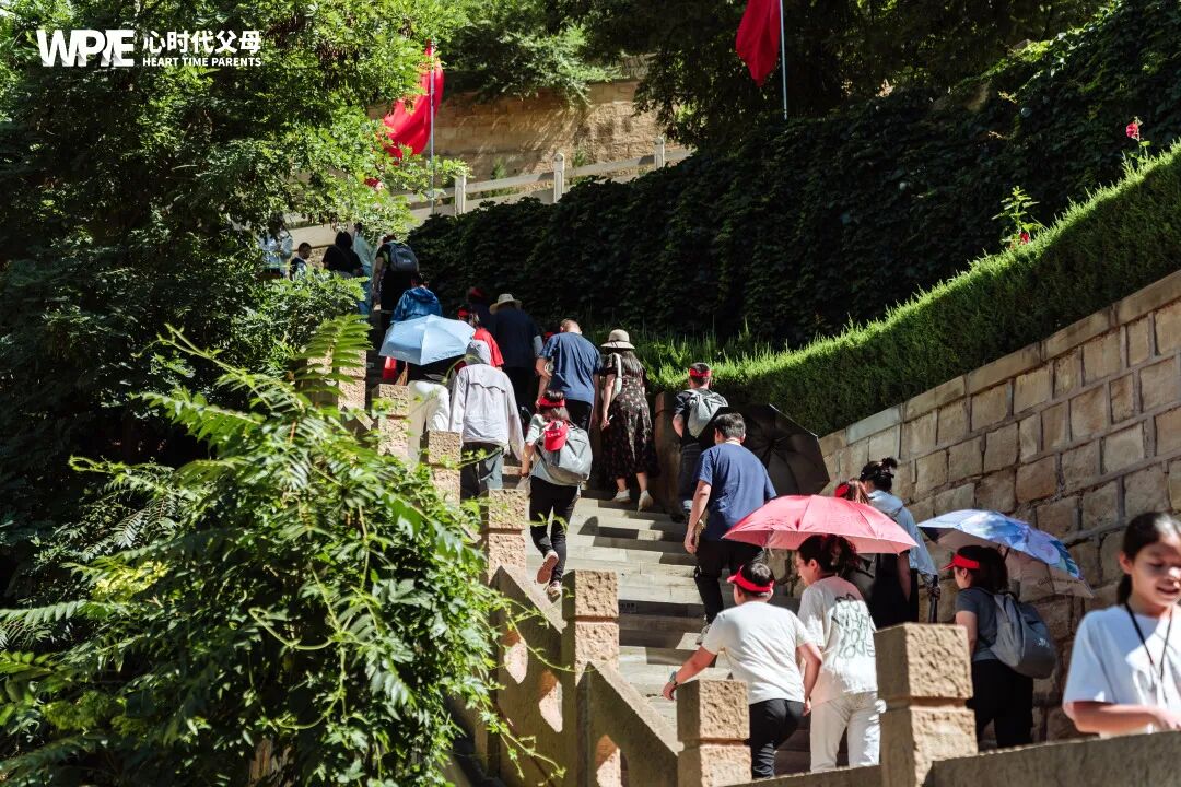 【纪琼院长家庭系统教育方案实操班】纪琼院长直播间黑屏反倒被夸?原来会说话的人,运气都藏在嘴里!