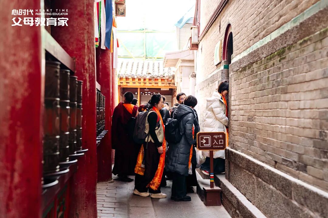 高二男孩因自己长不高而放弃学业?张兆鹏老师:“别劝他上学,先做这件事托住他!”