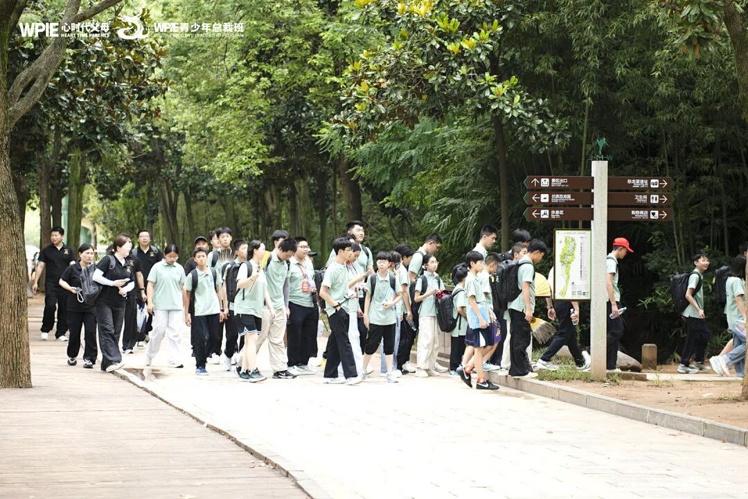 孩子吃完饭不收碗?恭喜你,这是培养“未来强者”的最佳时机!